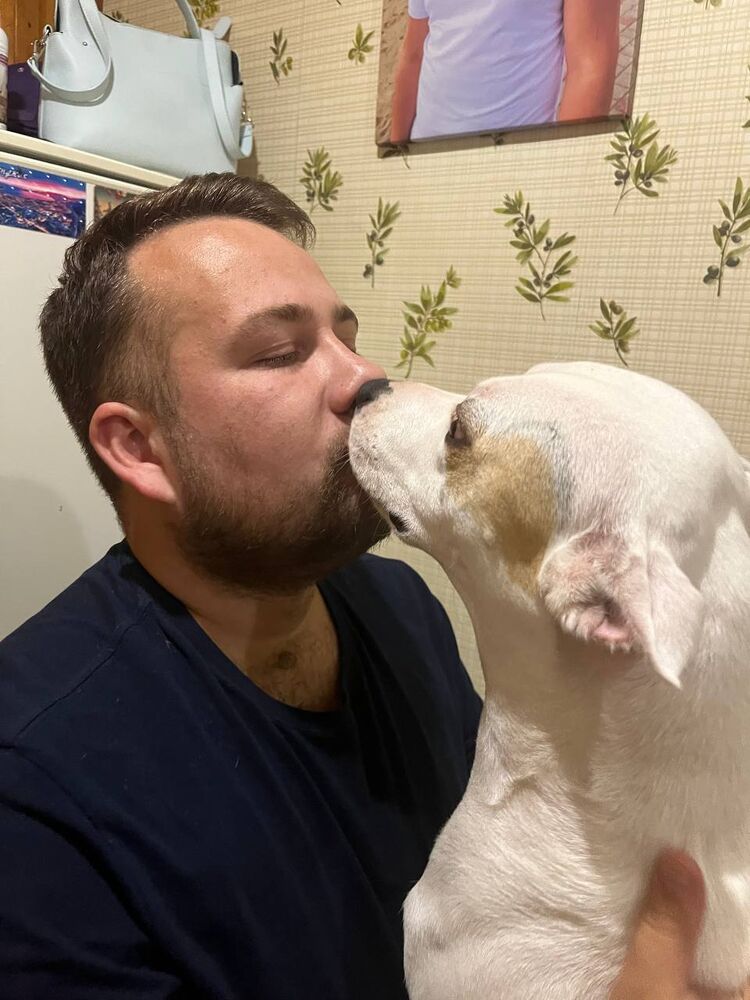 ���� 56042541 ����� �������, 25 ���, ���� ���������� � ������