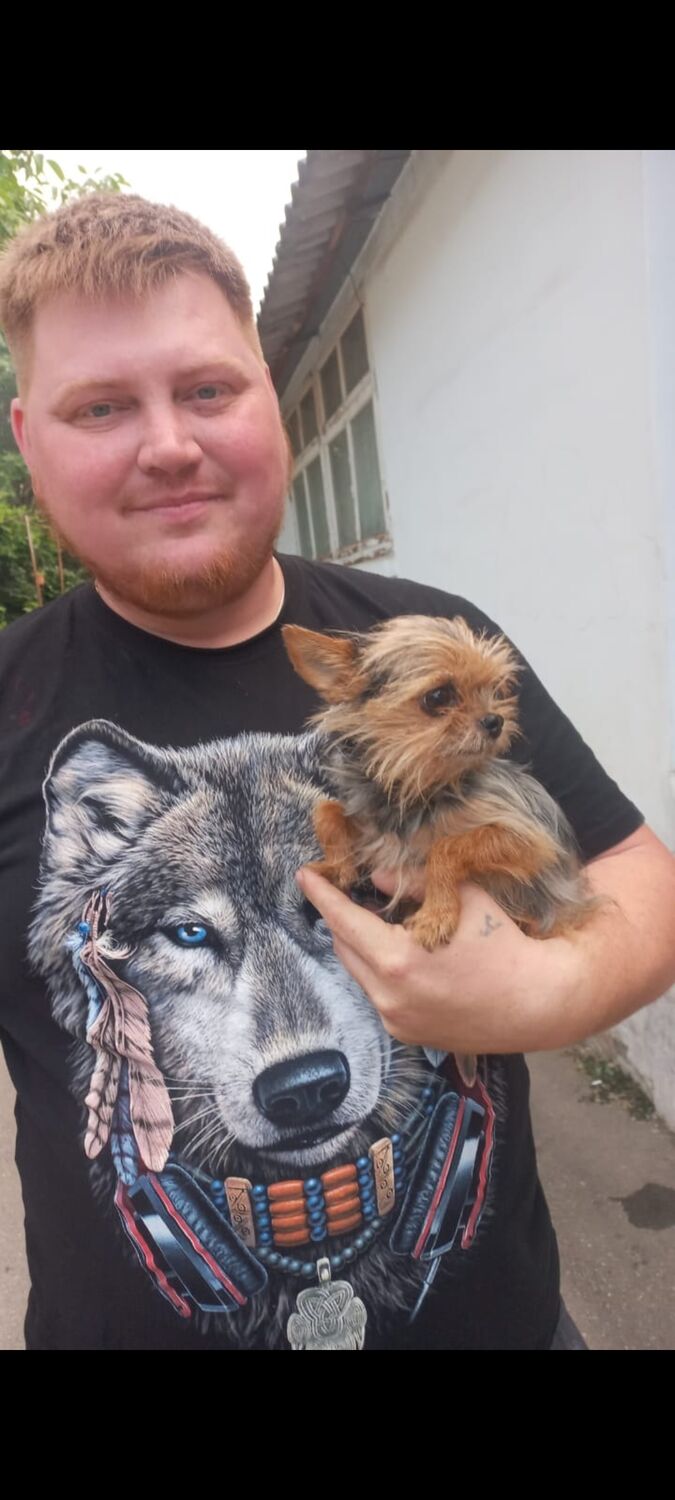 ���� 44318281 ������� ����, 34 ����, ���� ���������� � ����������