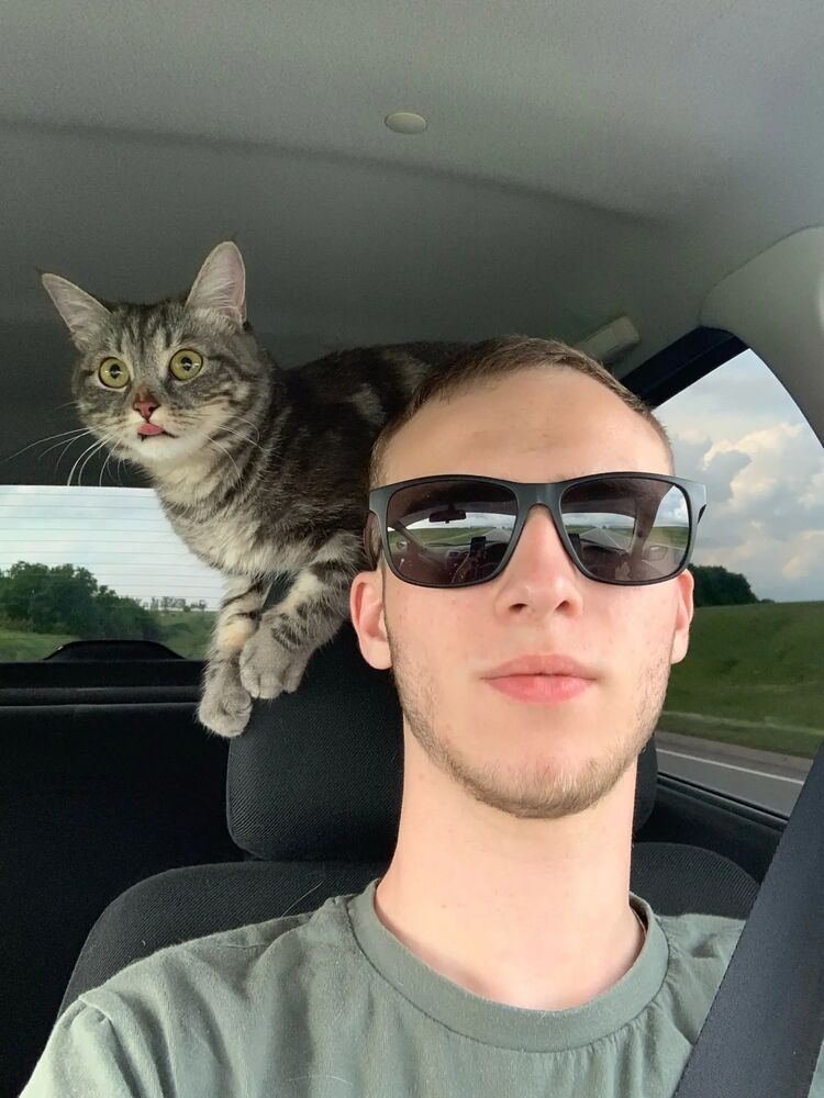 ���� 33612251 ������� ������, 26 ���, ���� ���������� � ��������