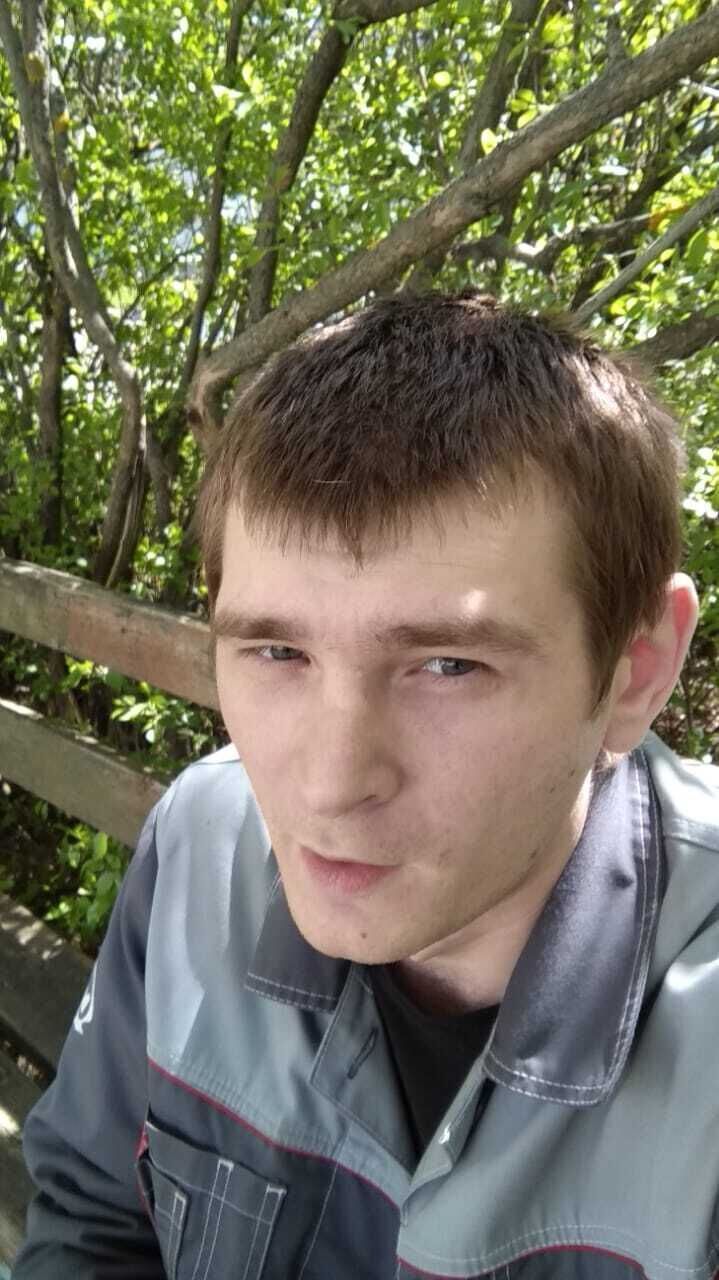  29933611  , 31 ,    