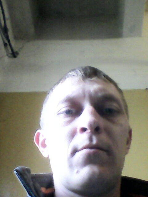   ,   , 41 ,   
