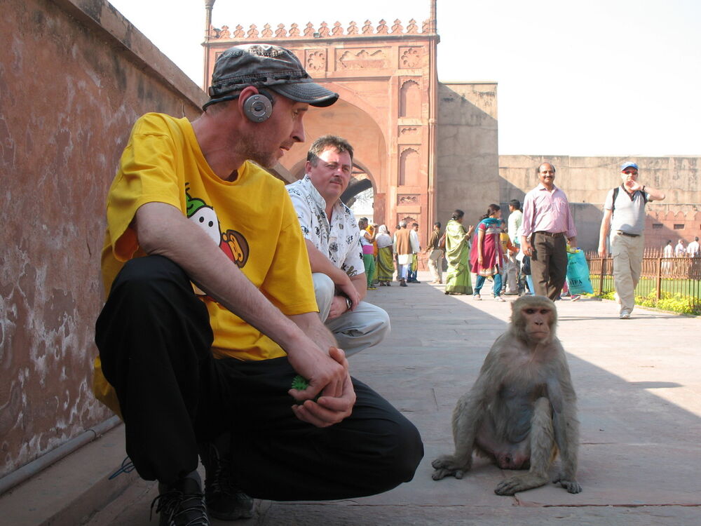 ���� 6898851 ������� ����, 60 ���, ���� ���������� � ������������