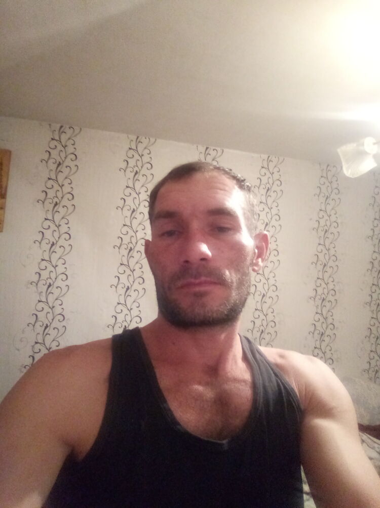  24208261  , 40 ,    