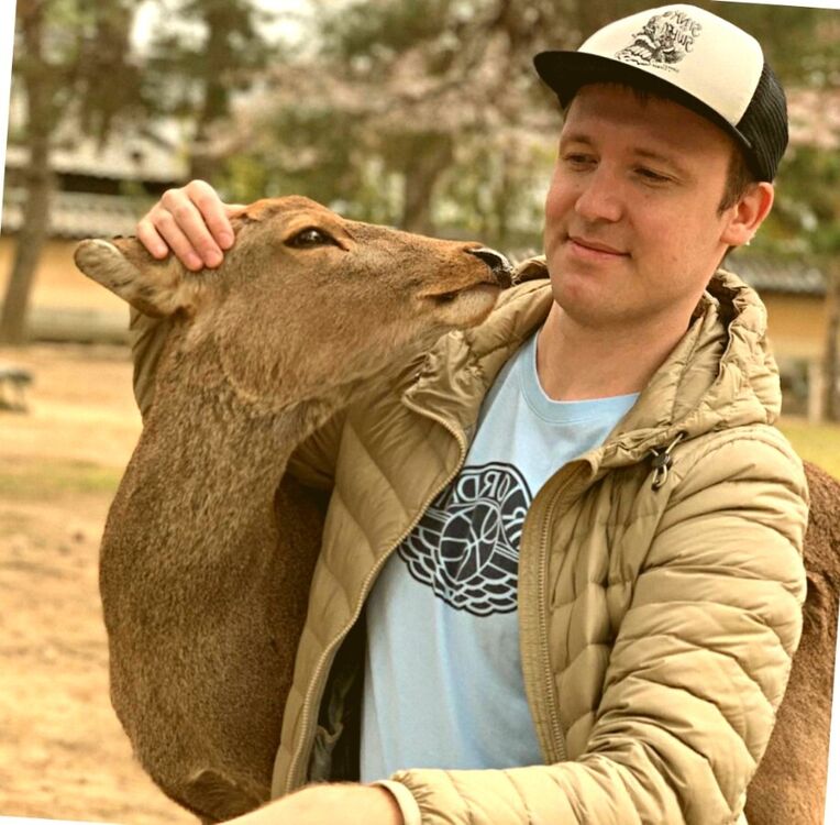 ���� 54848521 ������� �����, 40 ���, ���� ���������� � ����