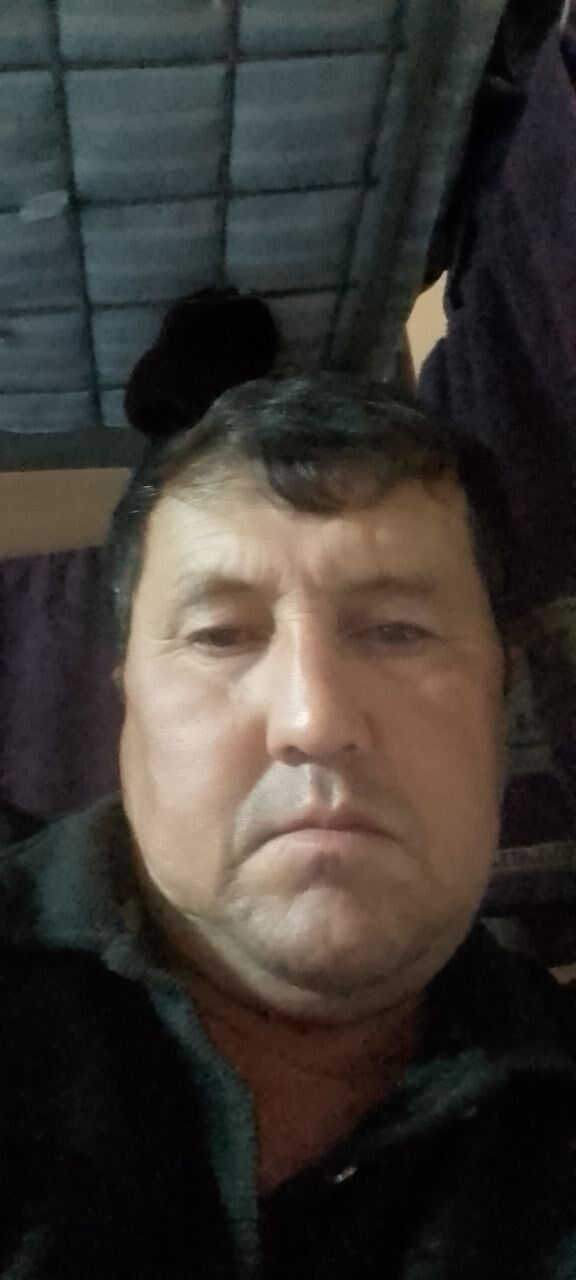  34275931  , 51 ,    