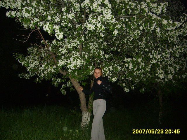 ���� 26579661 ������� �����, 44 ����, ���� ���������� � ������