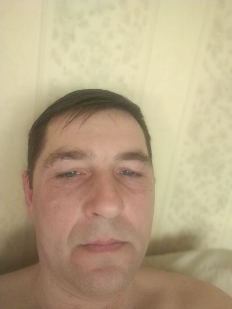  50242331  , 46 ,    
