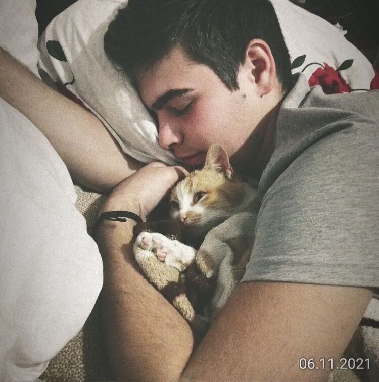 ���������� ������������, ���� ����� ������, 23 ����, ������������ ��� ������, ����� � ���������, c�������� ���������, ���������