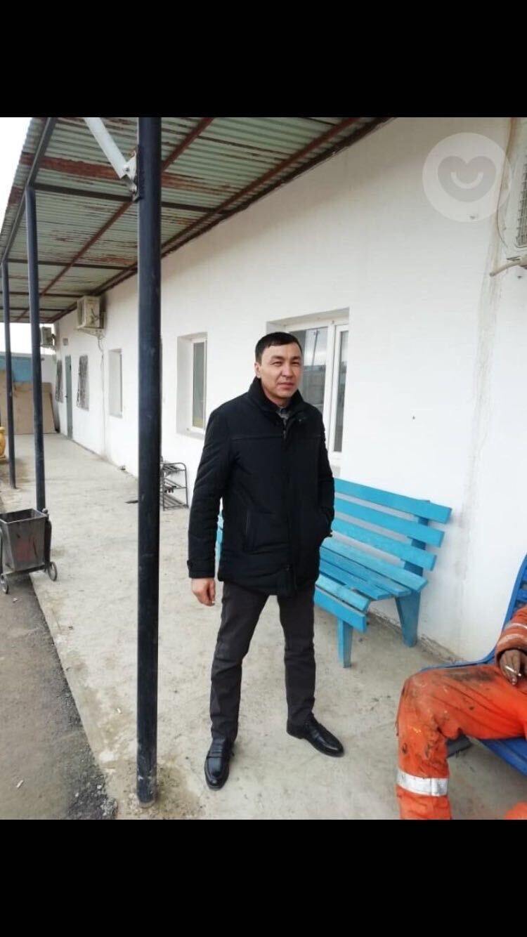 ���� 53012901 ������� ���� �������, 38 ���, ���� ���������� � �����