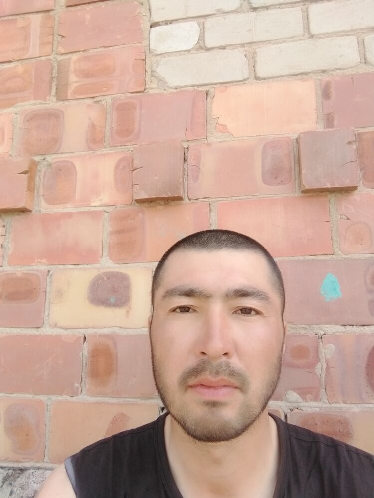  22798201  , 37 ,    