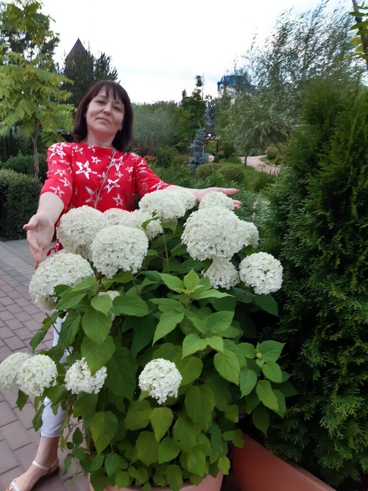 ���������� ����������, ���� ������� �����, 49 ���, ������������ ��� ����� � ���������, c�������� ���������