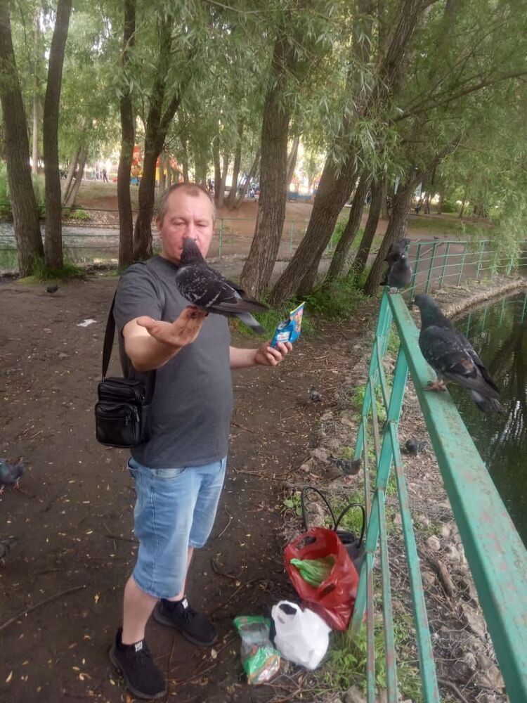 ���� 35355061 ������� ���������, 46 ���, ���� ���������� � ������