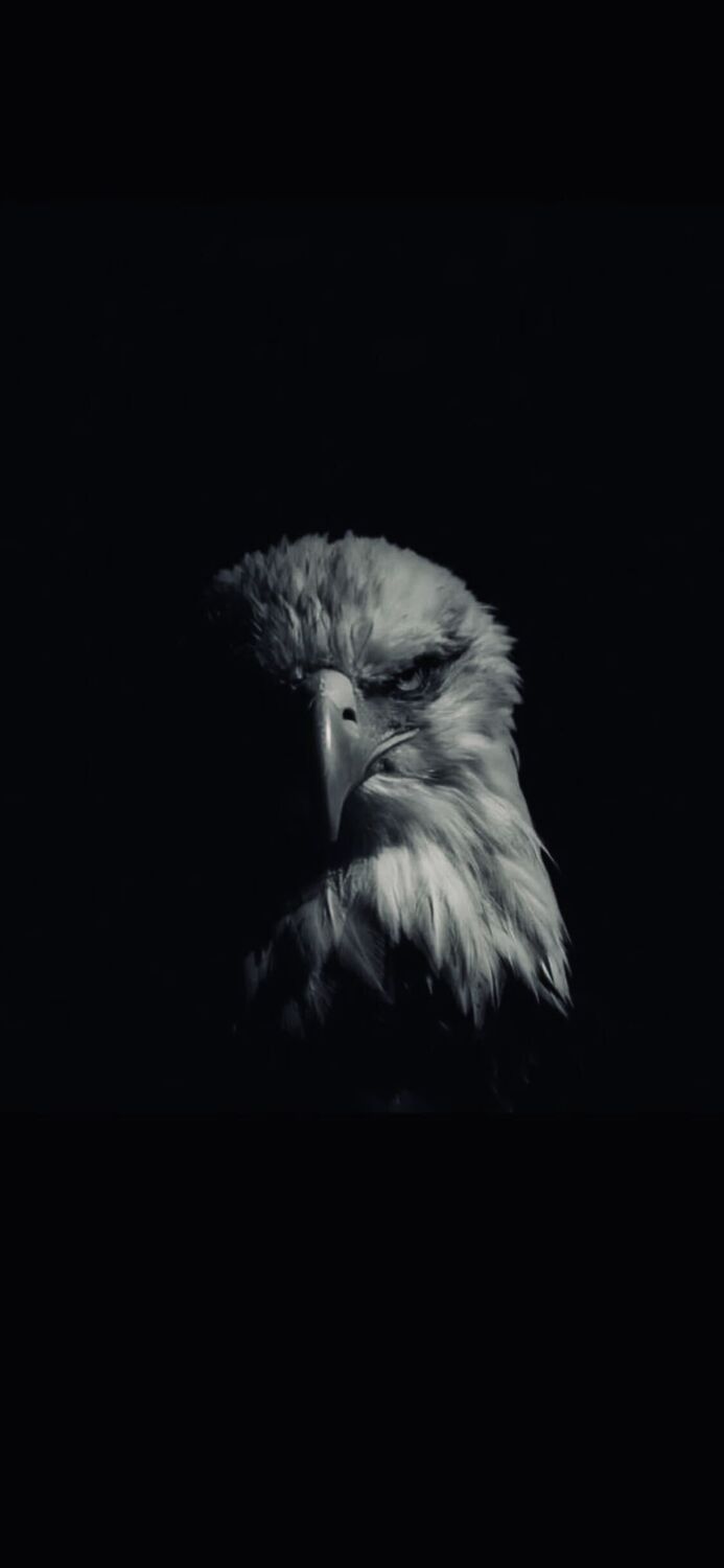 ���� 42823851 ������� �����, 34 ����, ���� ���������� � �����-����������