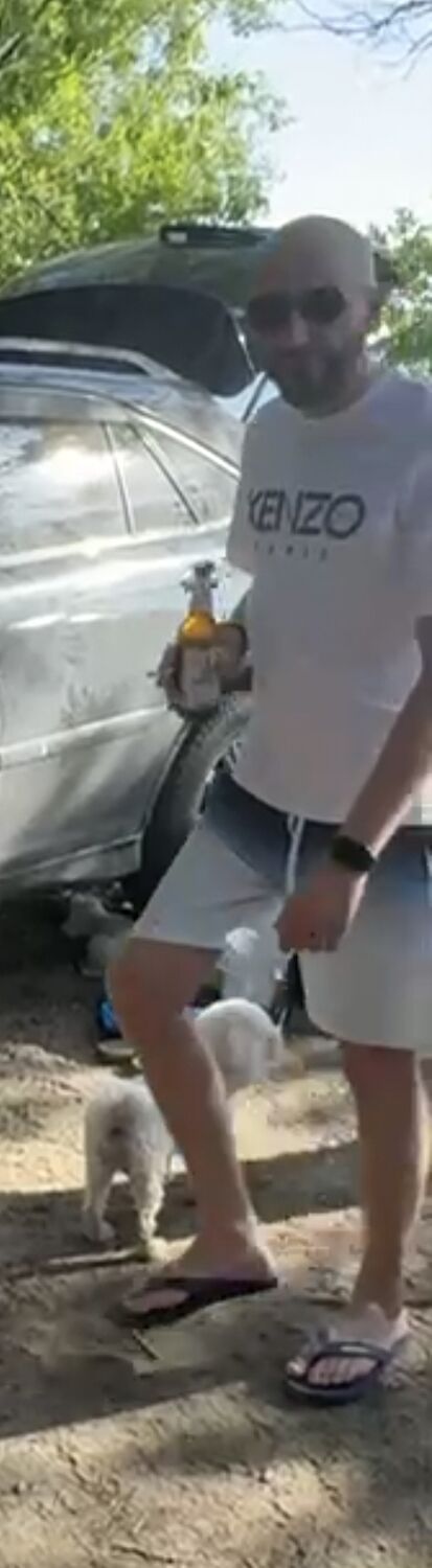 ���������� ��������, ���� ������� ������, 38 ���, ������������ ��� ������