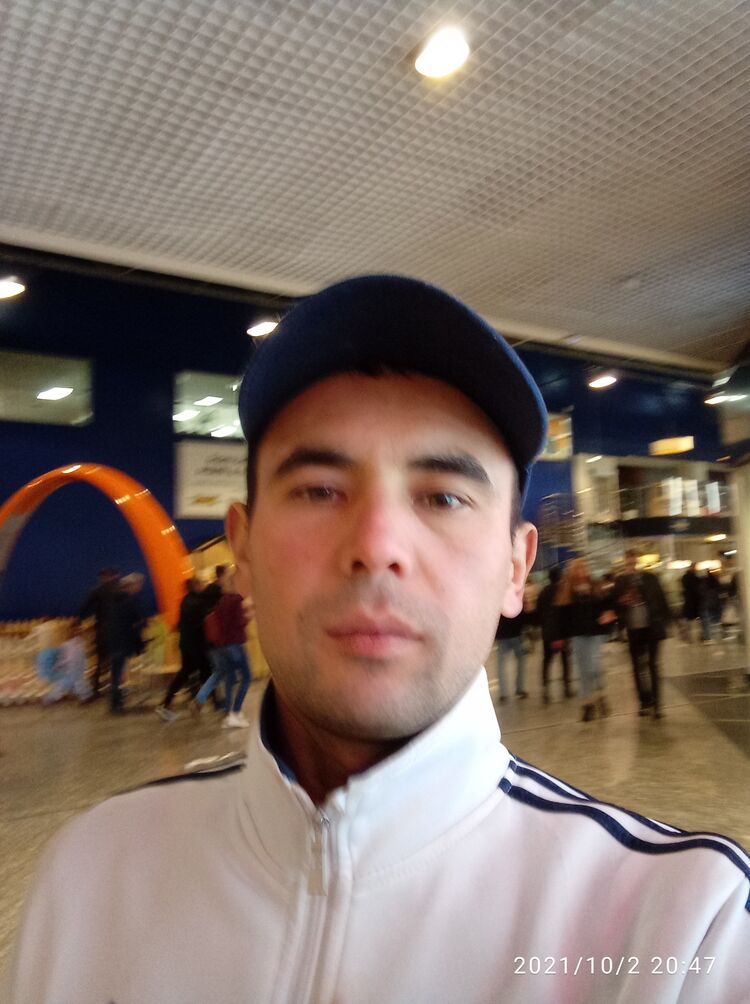  25273011  , 33 ,    