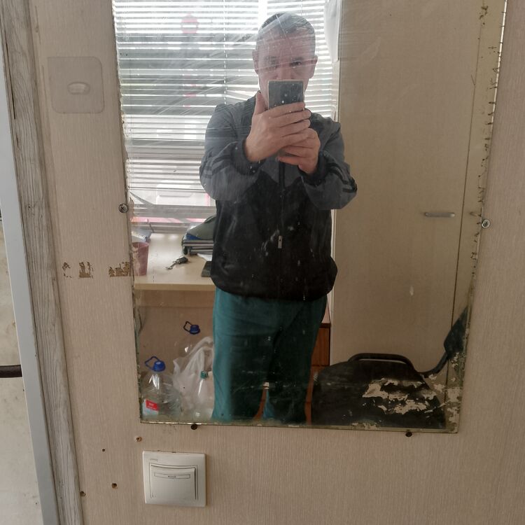  53504811  , 49 ,    