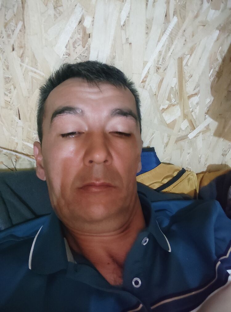  43366681  , 44 ,    