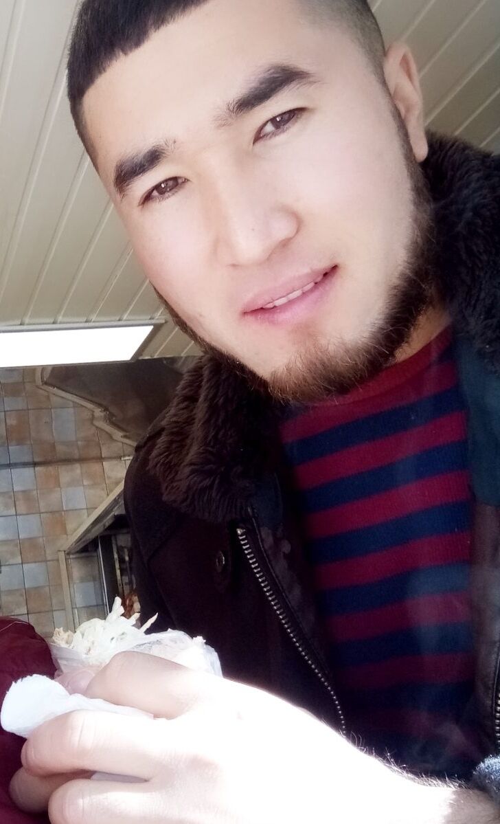  33130301  , 29 ,    -