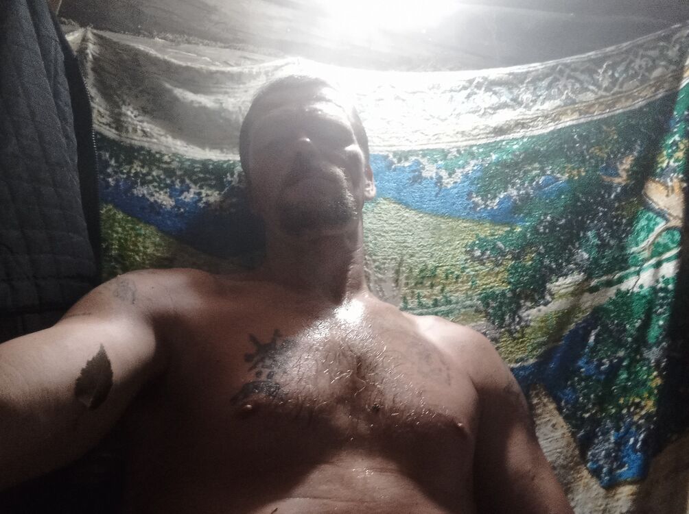 ���� 31443931 ������� ������, 50 ���, ���� ���������� � �����