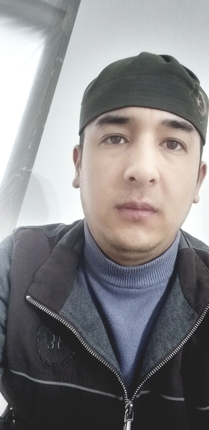  33588831  , 28 ,    