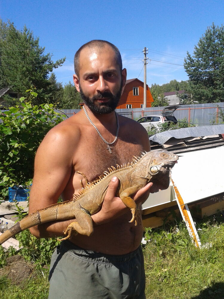 ���� 26035431 ������� �������, 46 ���, ���� ���������� � ������