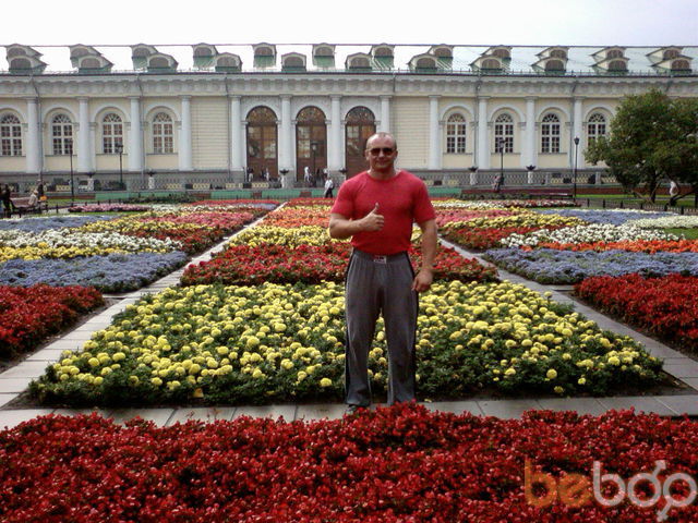 ���� 865781 ������� ������, 47 ���, ���� ���������� � ��������