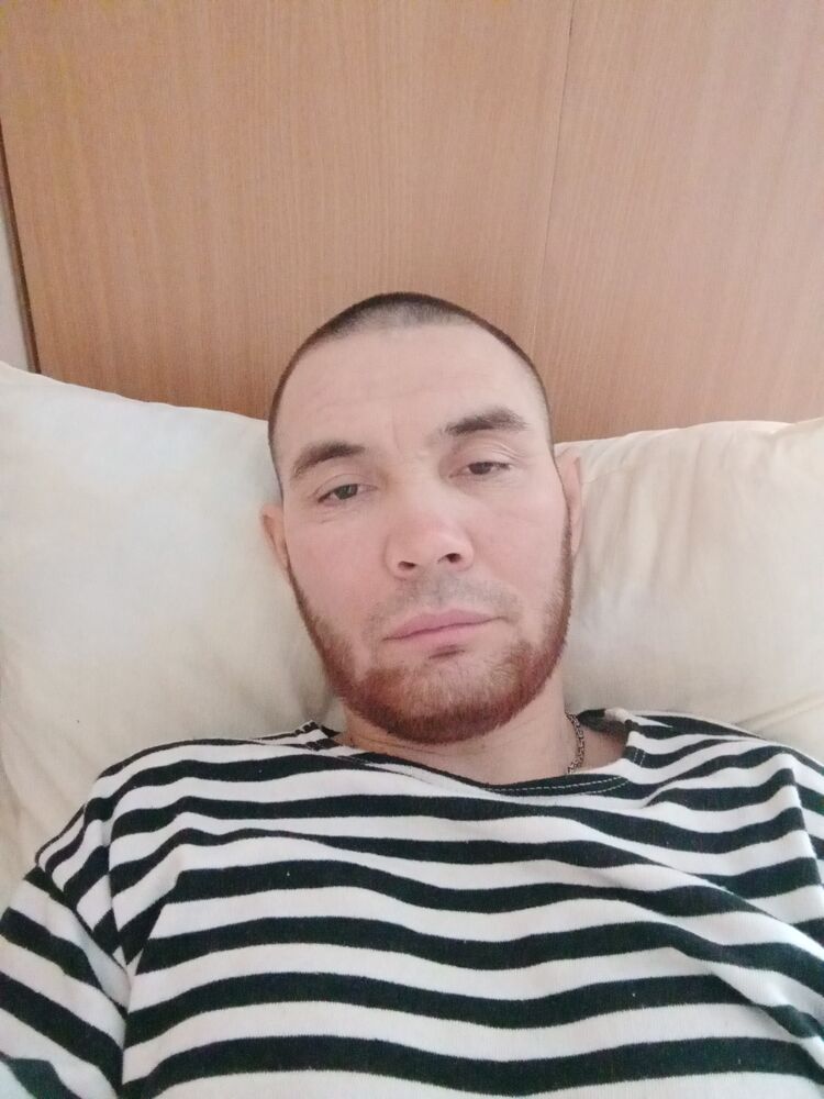  41168091  , 38 ,    
