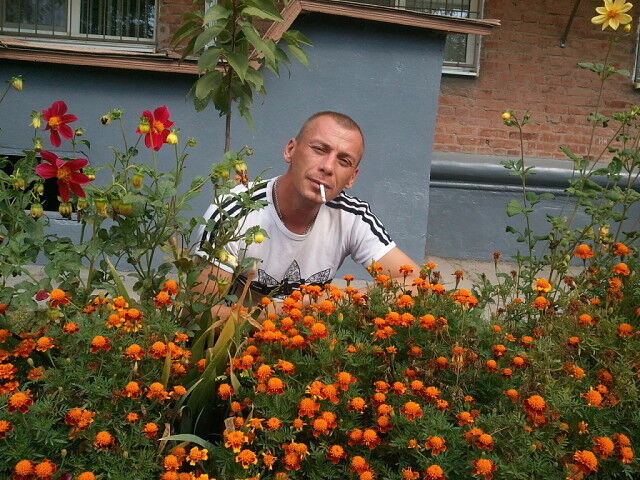 ���� 8198051 ������� �������, 49 ���, ���� ���������� � �������-��-����