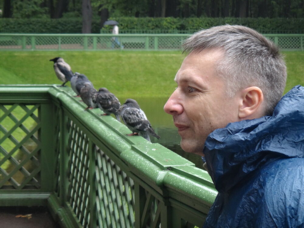  ,   , 54 ,  