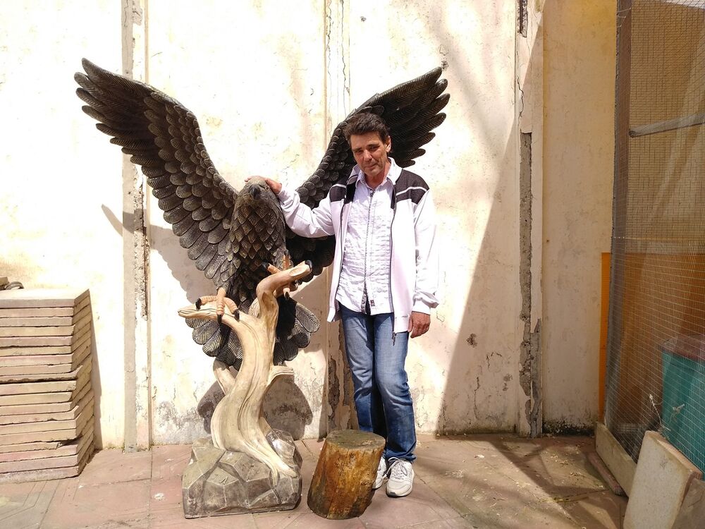 ���� 18267921 ������� ������, 64 ����, ���� ���������� � ����������