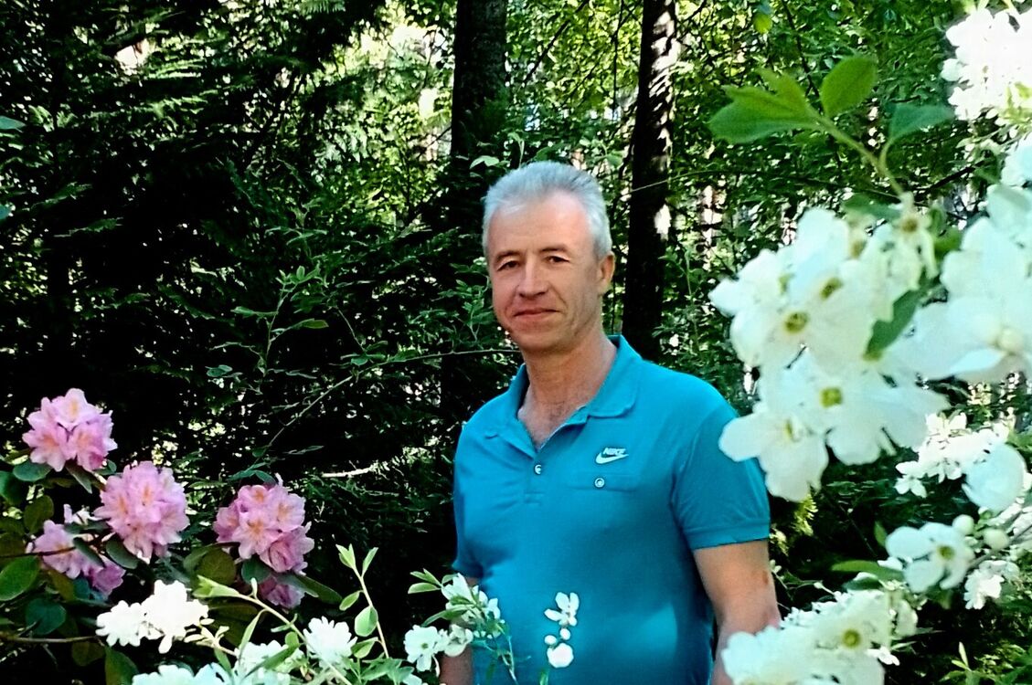 ���� 56104841 ������� �������, 54 ����, ���� ���������� � ����������