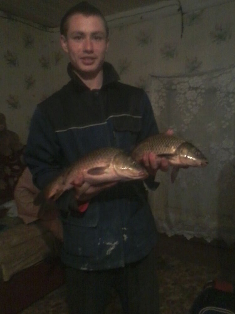 ���� 5419221 ������� � ������ ���, 33 ����, ���� ���������� � �������