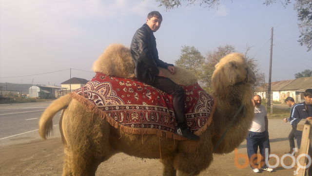  1247921  Azamat, 37 ,    
