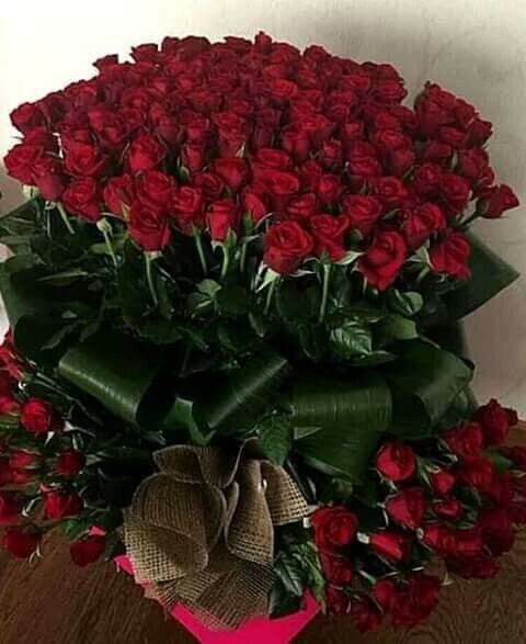 ���� 25377741 ������� �����, 40 ���, ���� ���������� � �����-����������