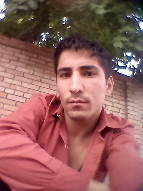  5001931  5245809, 36 ,    