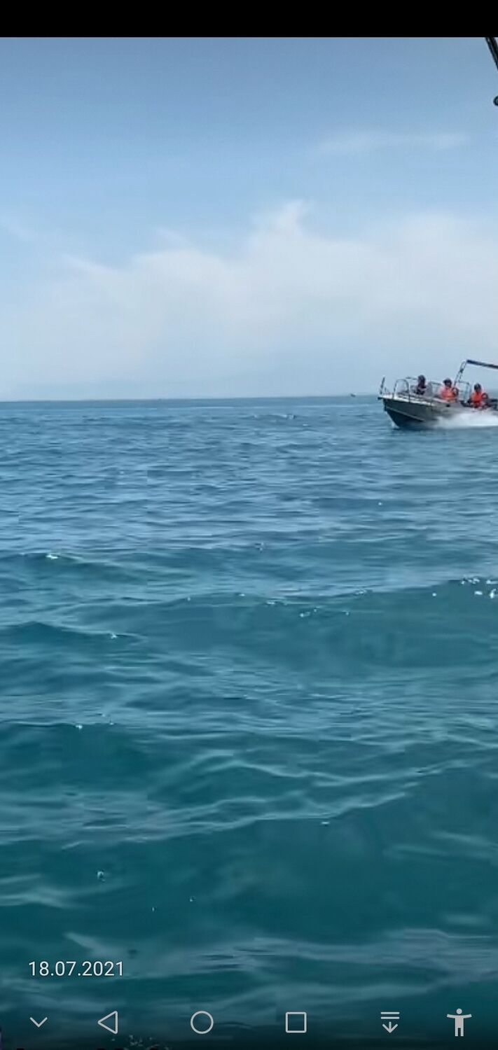 ���������� ������, ���� ������� �����, 45 ���, ������������ ��� c�������� ���������