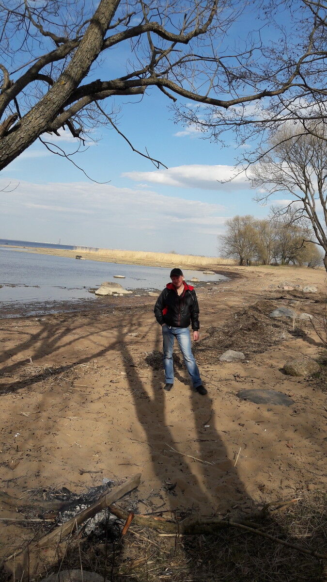  12026501  , 43 ,    -