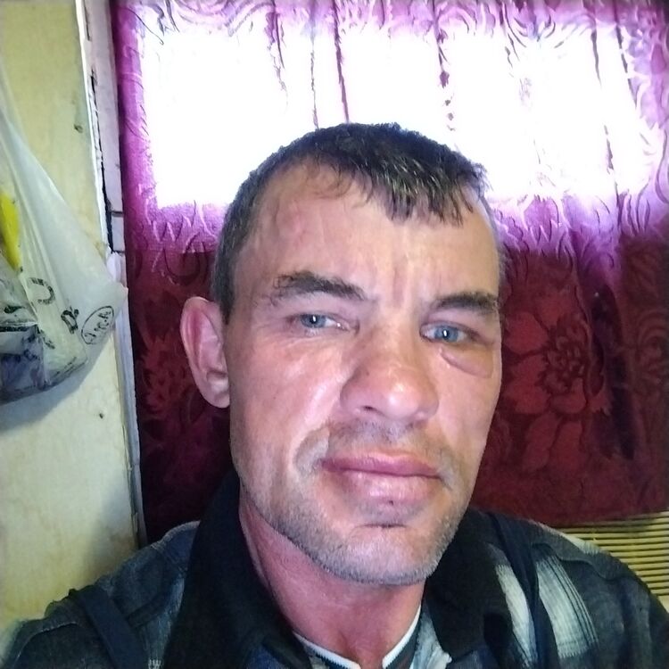  29716751  , 55 ,    
