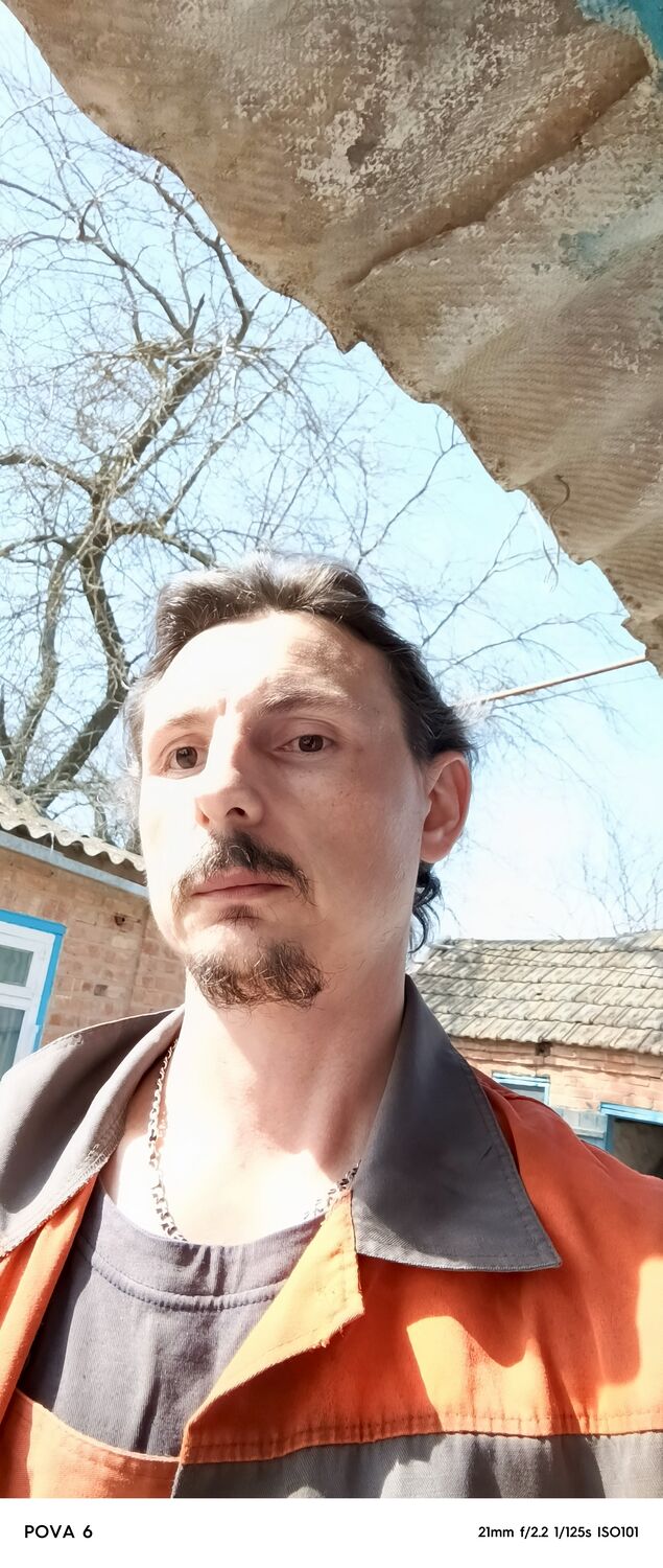  51243341  , 40 ,    