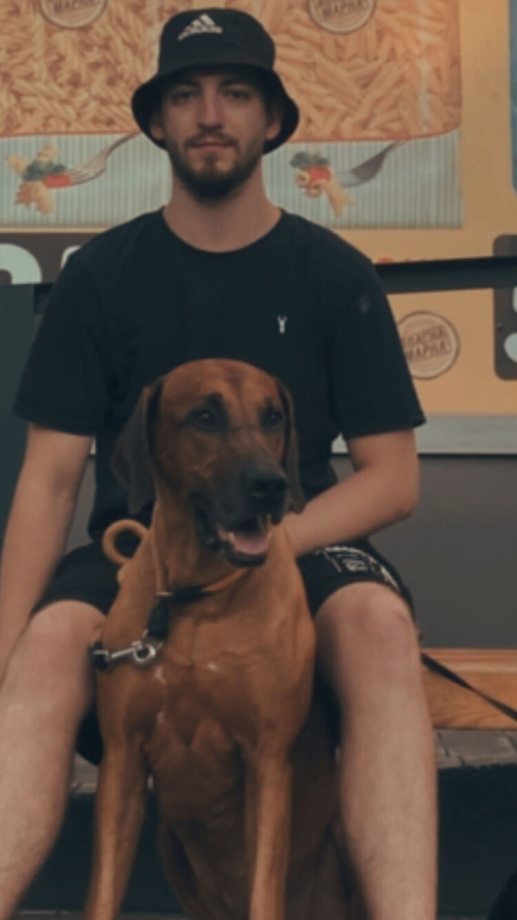 ���� 55236061 ����� ����, 21 ���, ���� ���������� � ������������