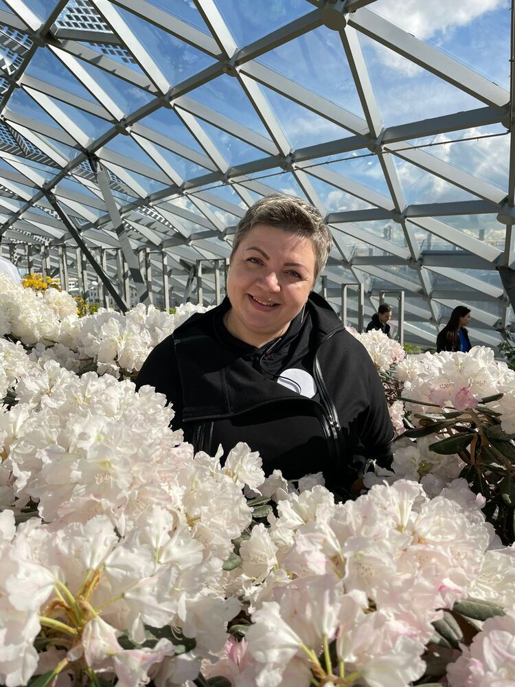 ���������� ������, ���� ������� ���, 42 ����, ������������ 