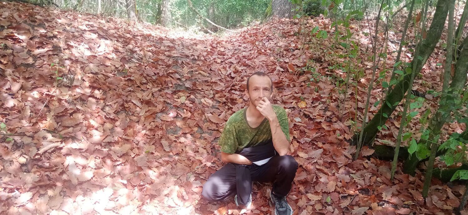 ���� 54797311 ������� ������, 34 ����, ���� ���������� � ������������