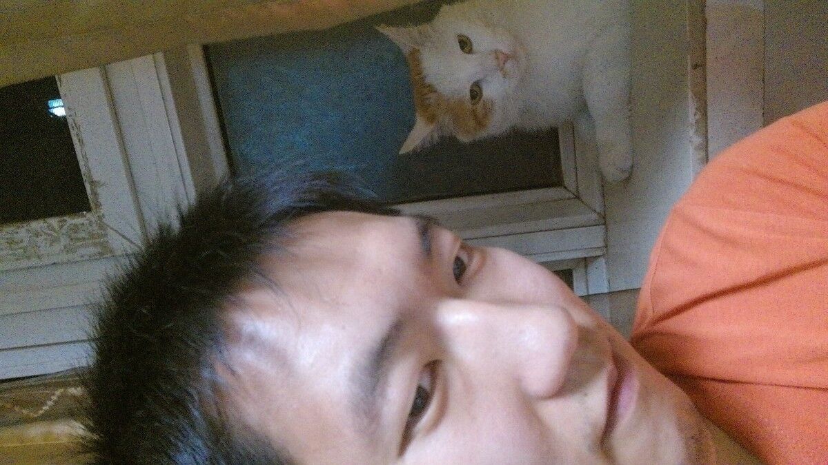 ���� 18406781 ������� ���� ���, 33 ����, ���� ���������� � ������