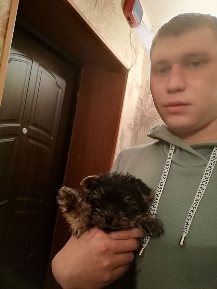 ���������� �����, ���� ������� Alexey, 29 ���, ������������ ��� ������, ����� � ���������