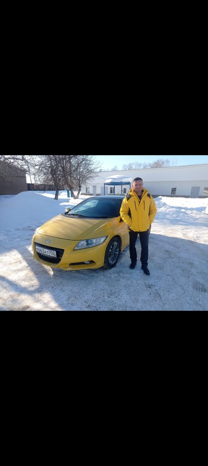 ���� 49023061 ������� ������, 43 ����, ���� ���������� � ������������