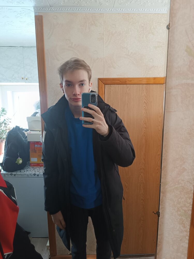  43441331  , 20 ,    -