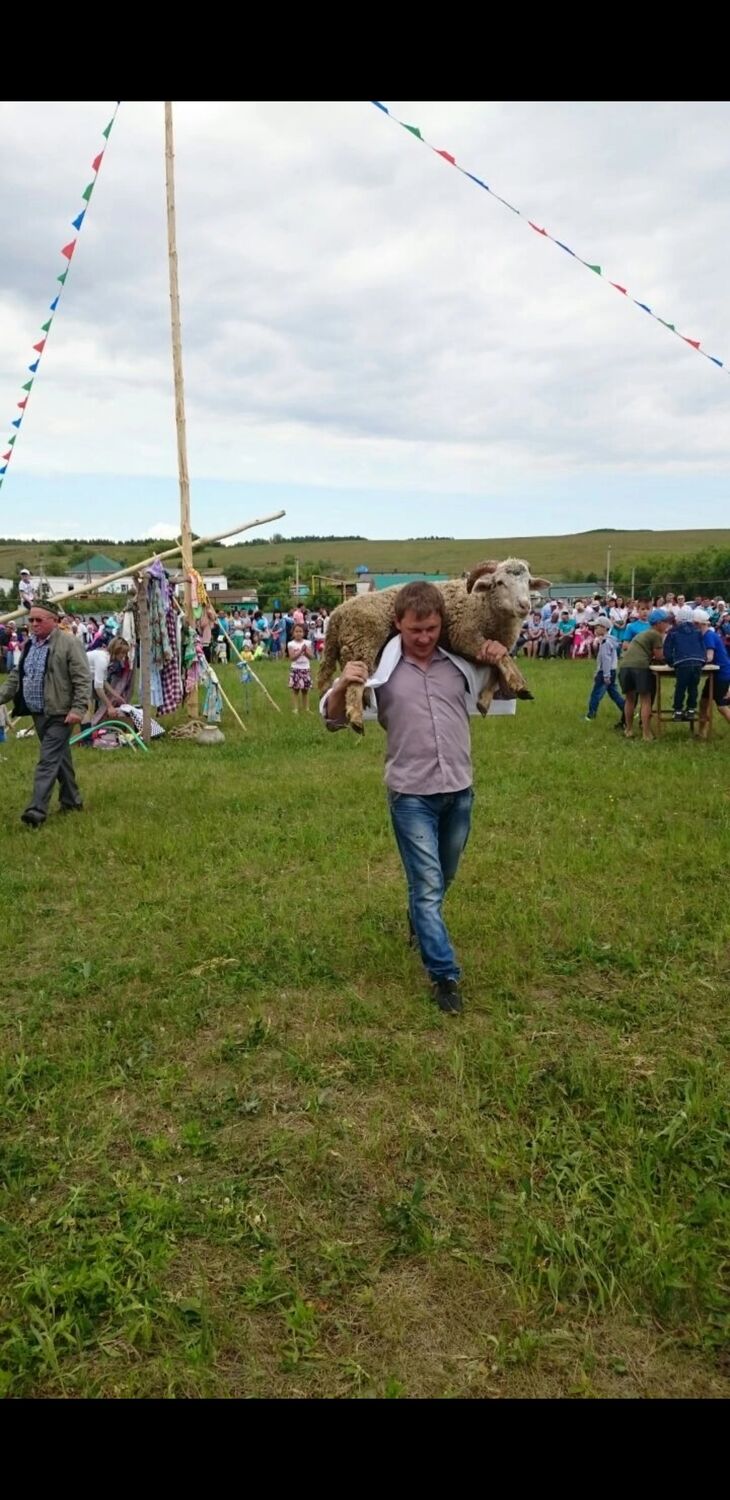 ���������� ������, ���� ������� �����, 37 ���, ������������ ��� ������, ����� � ���������