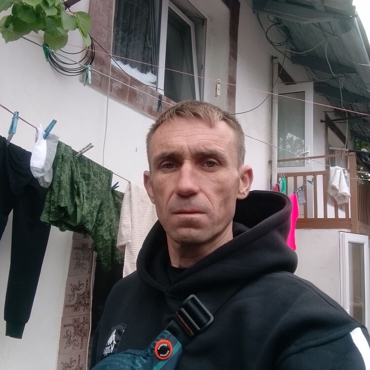  43580551  , 43 ,    
