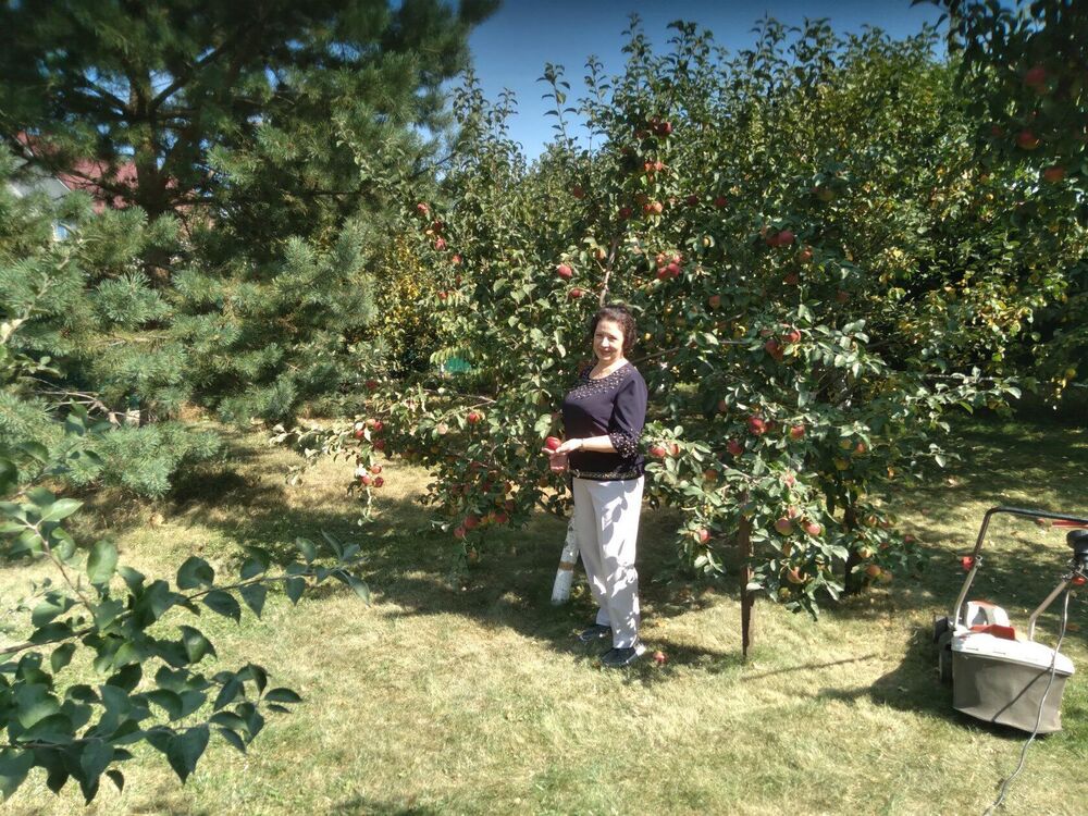 ���� 54135281 ������� �������, 75 ���, ���� ���������� � ��������