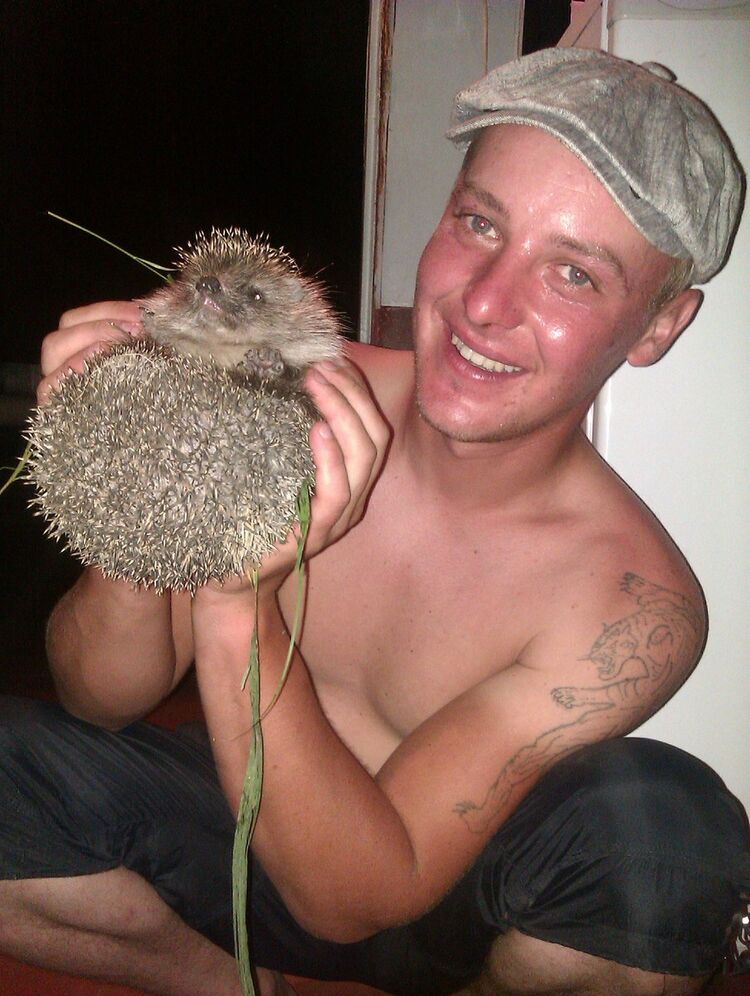  9749801  , 33 ,    -